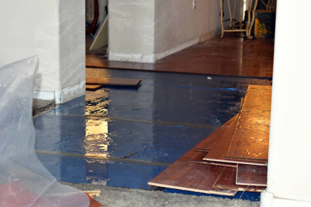 Professional Sewage Cleanup technician working in Colfax, WI